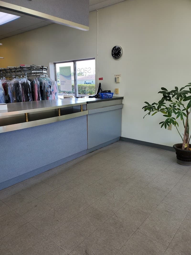 Sage Cleaners: Lithia/Fishhawk Dry Cleaners & Laundry Service gallery image 8