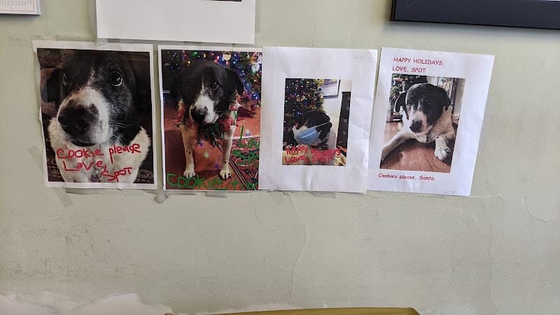 Courtesy Cleaners gallery image 5