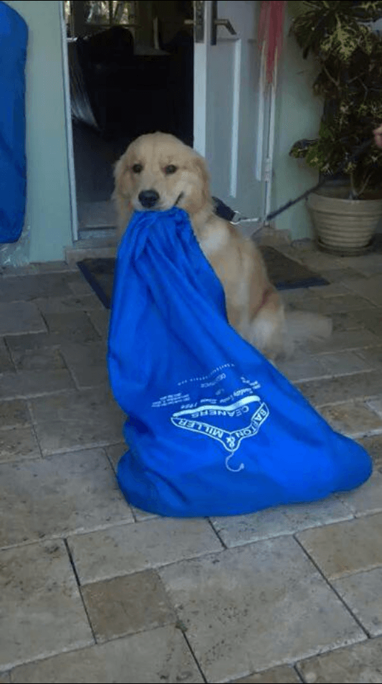 Barton & Miller Cleaners gallery image 1